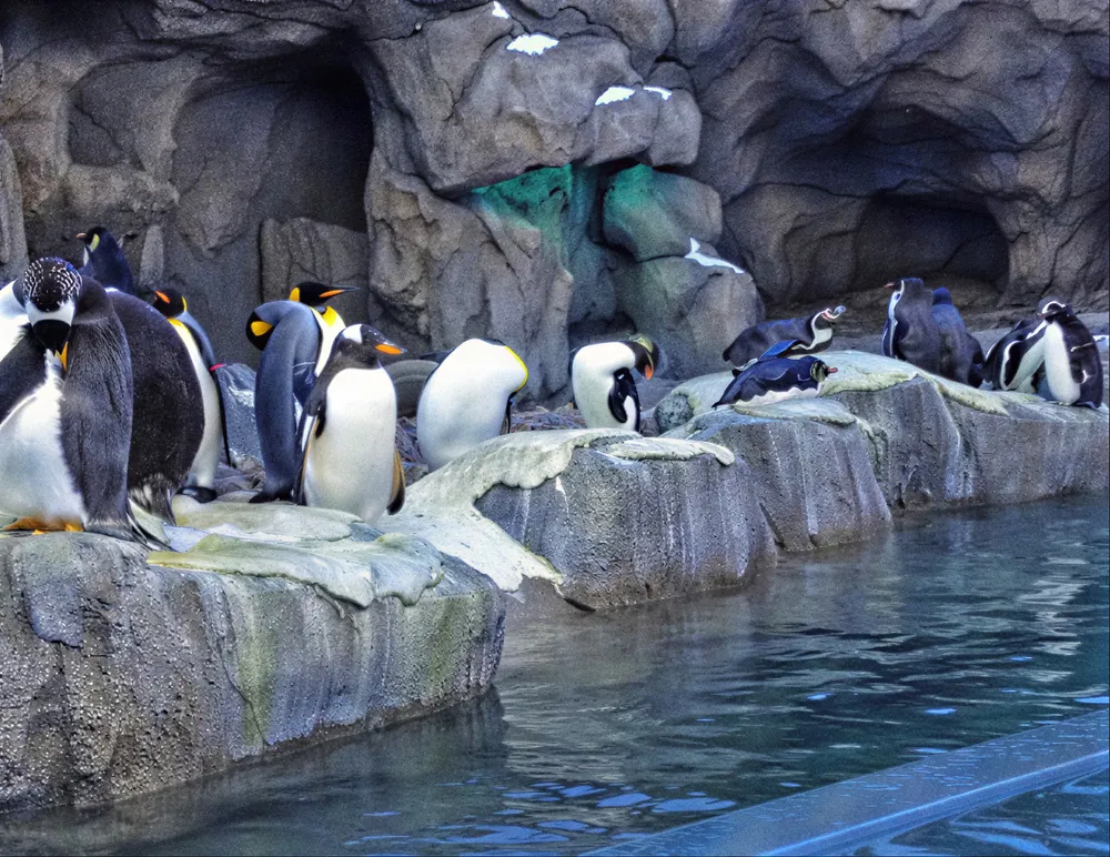 Calgary Zoo
