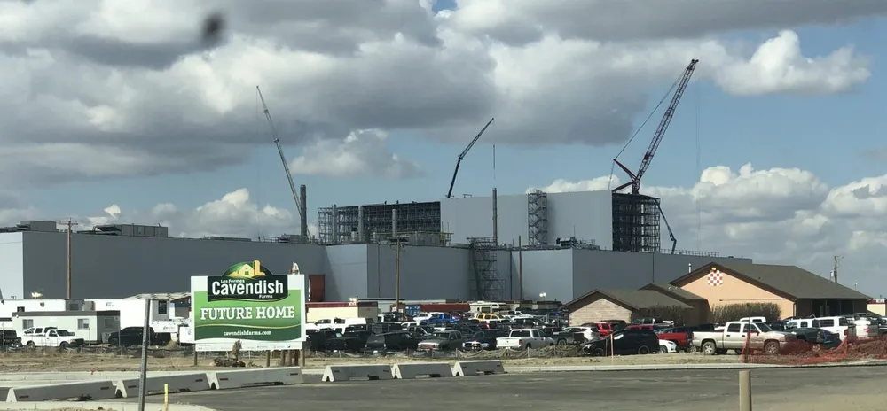 Cavendish Farms