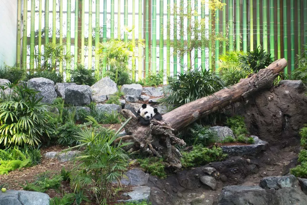 Calgary Zoo